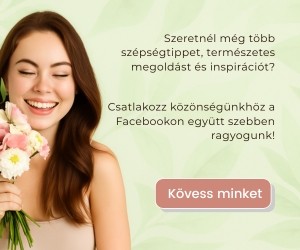 North - responsive WooCommerce Theme