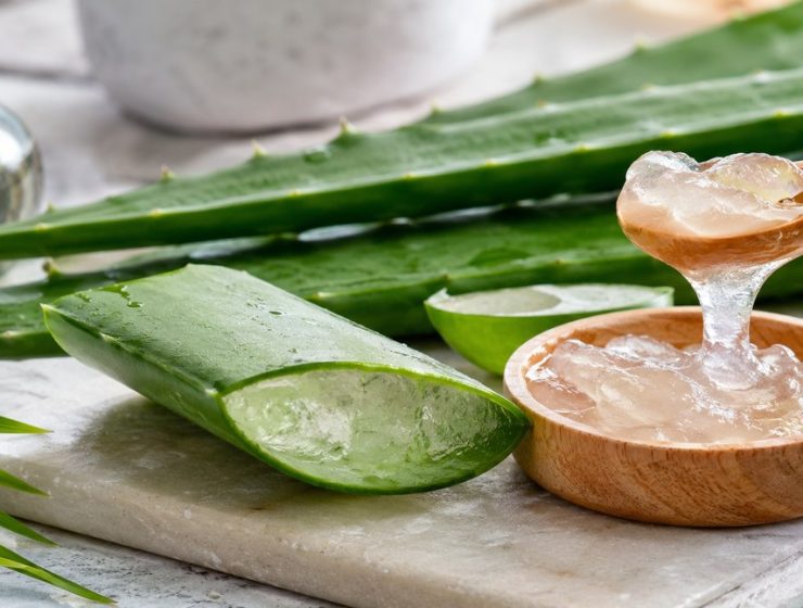 Aloe vera levél és friss gél tálban